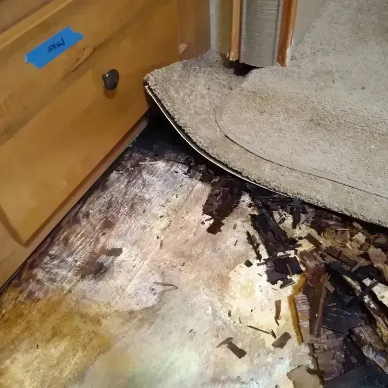 Wood Floor Water Damage in Webster, TX